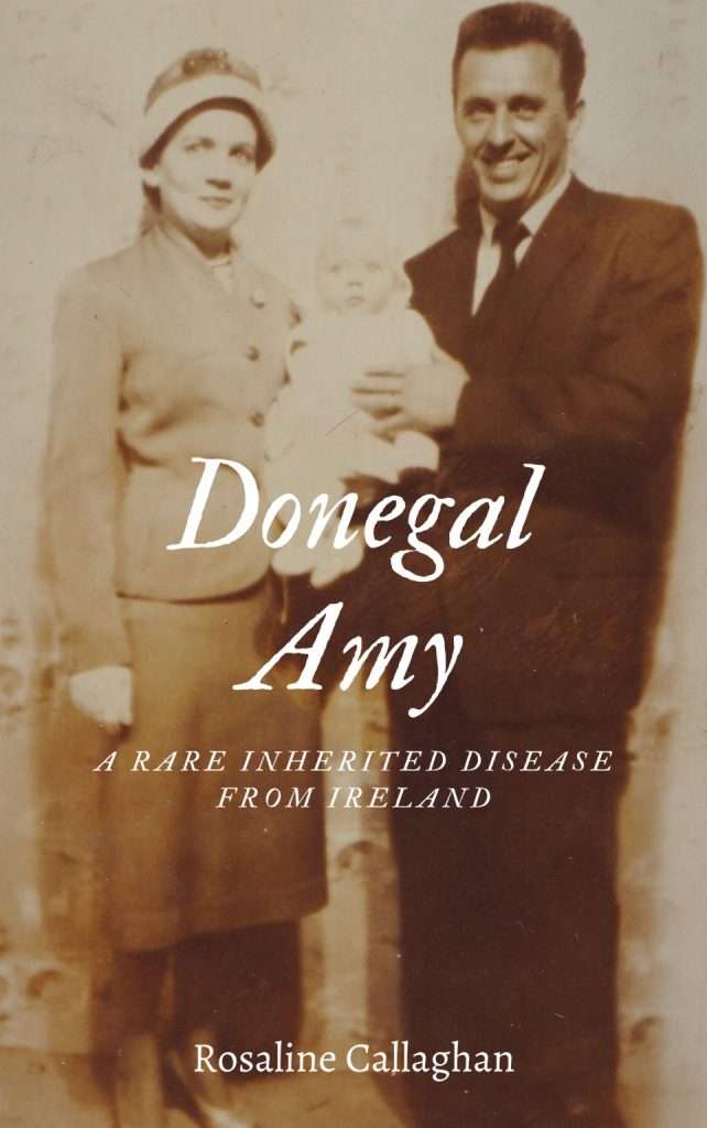 Donegal Amy book front cover